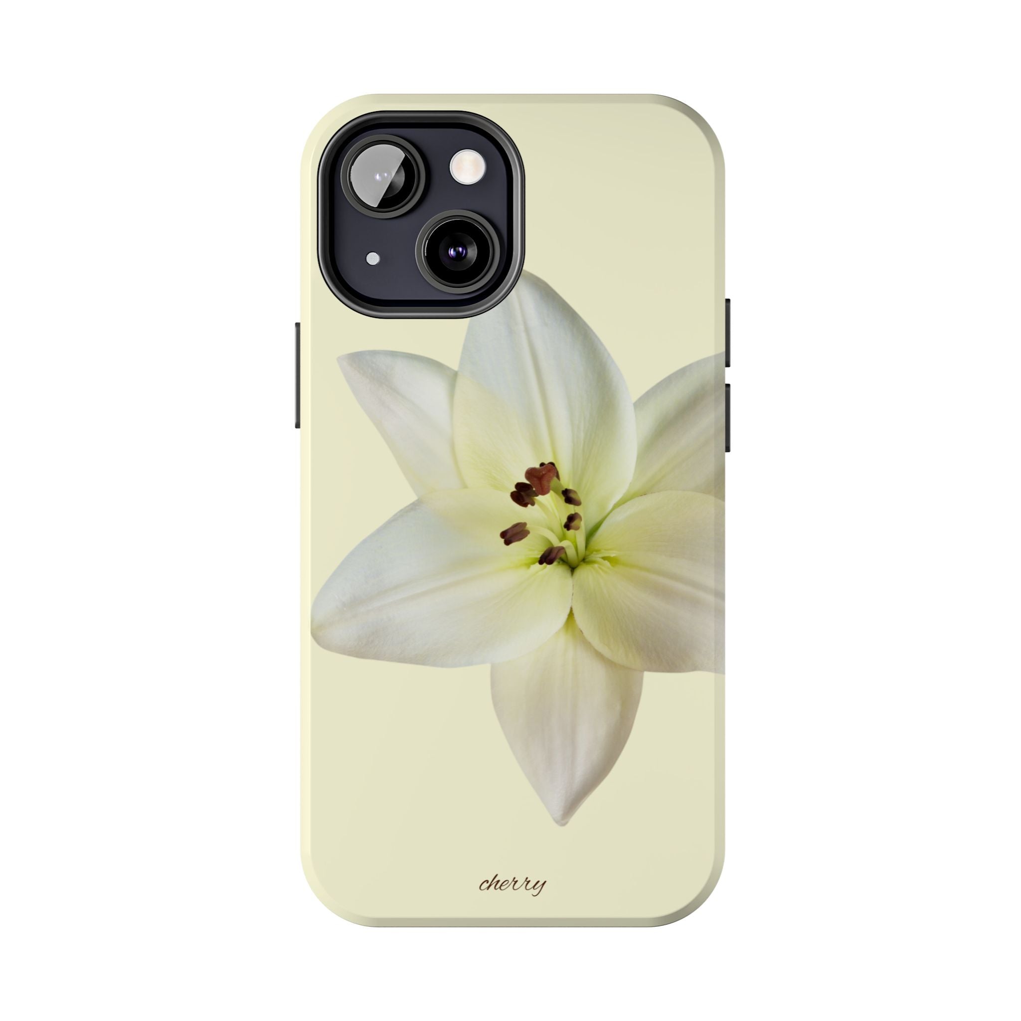 Ivory Lily