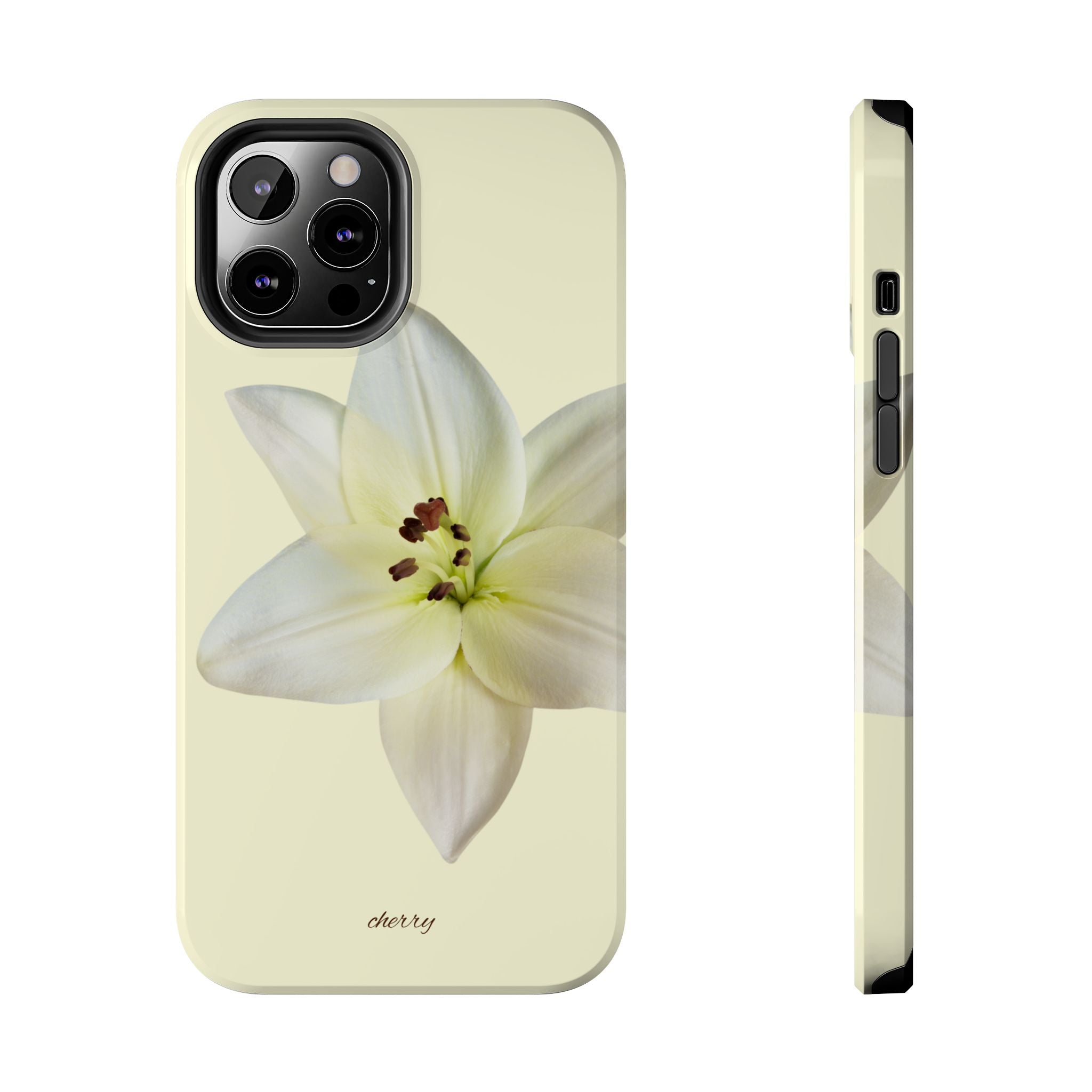 Ivory Lily