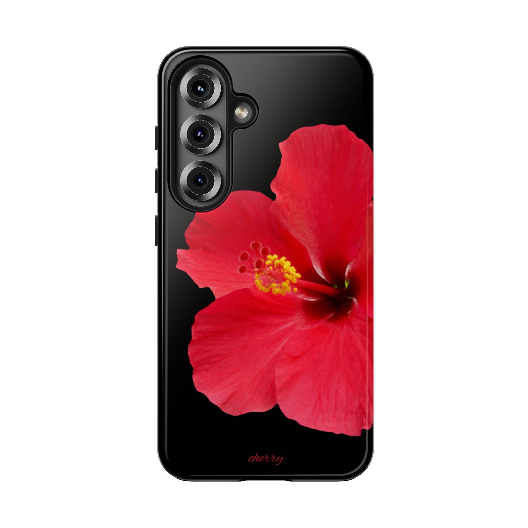 Scarlet Hibiscus