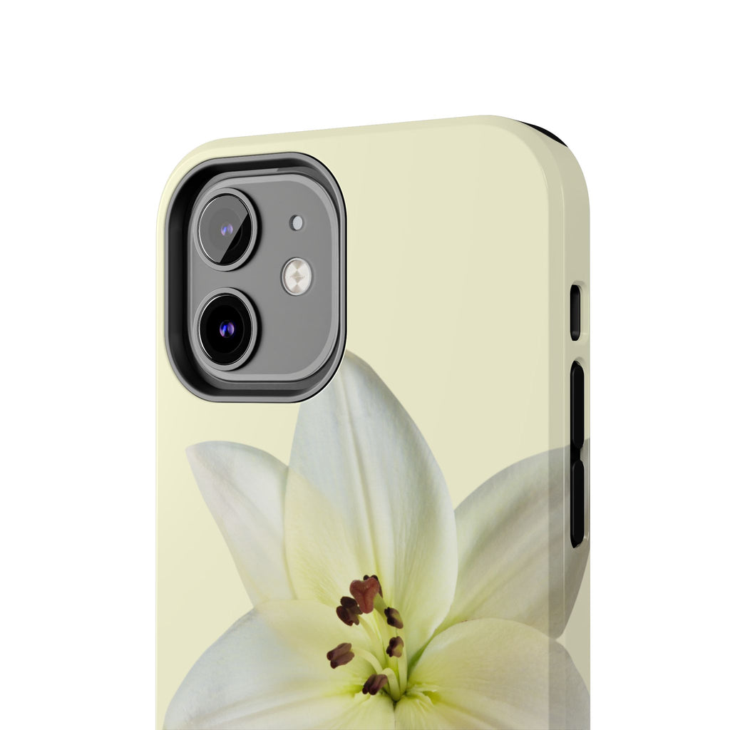Ivory Lily