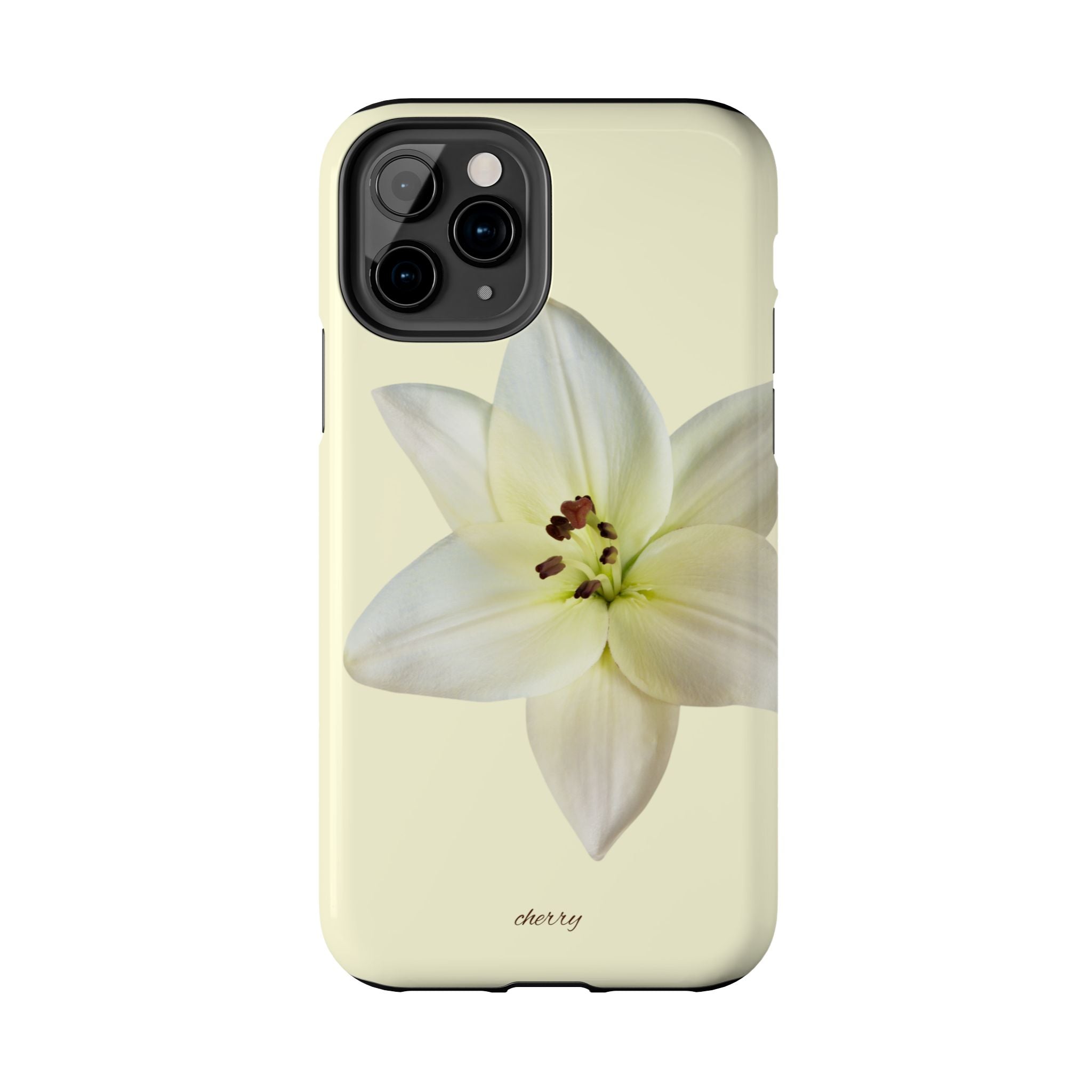 Ivory Lily