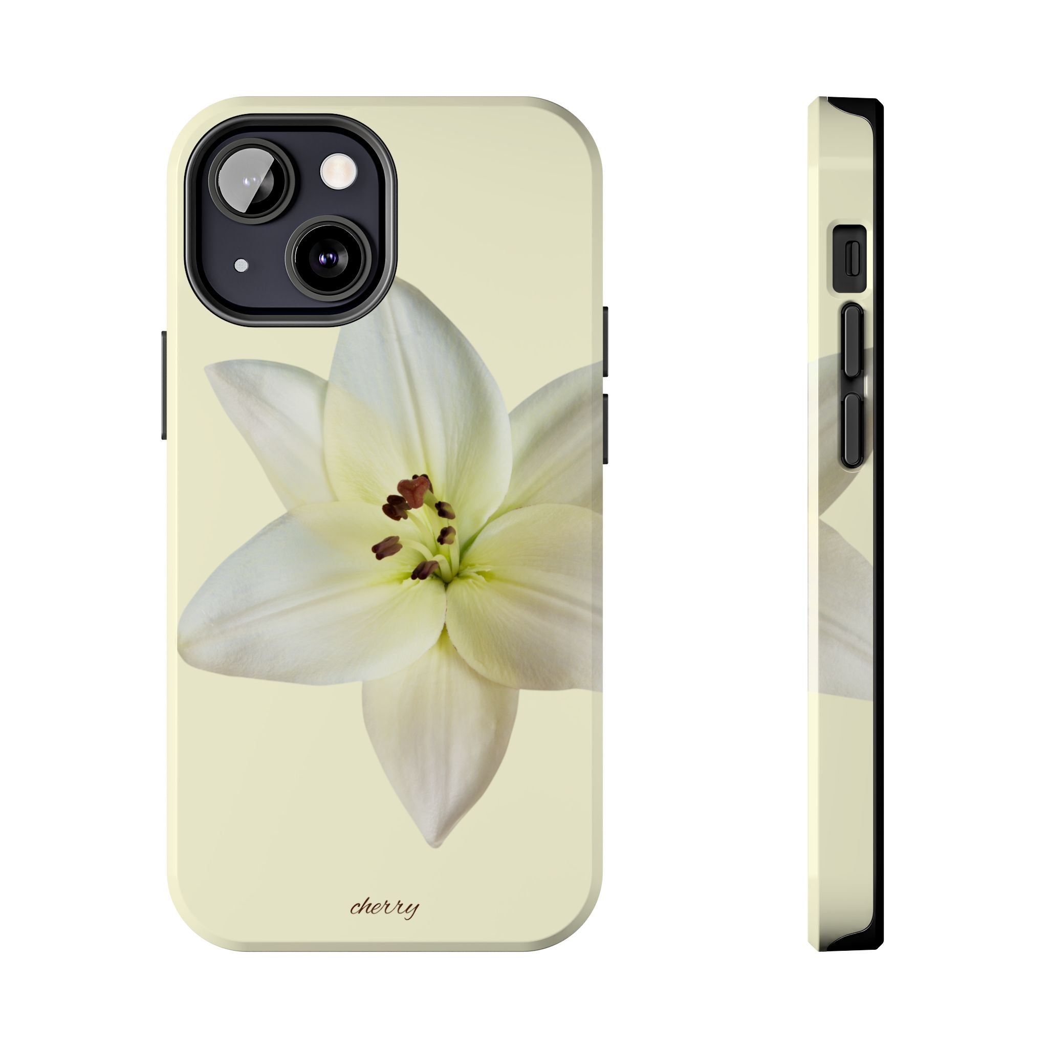 Ivory Lily