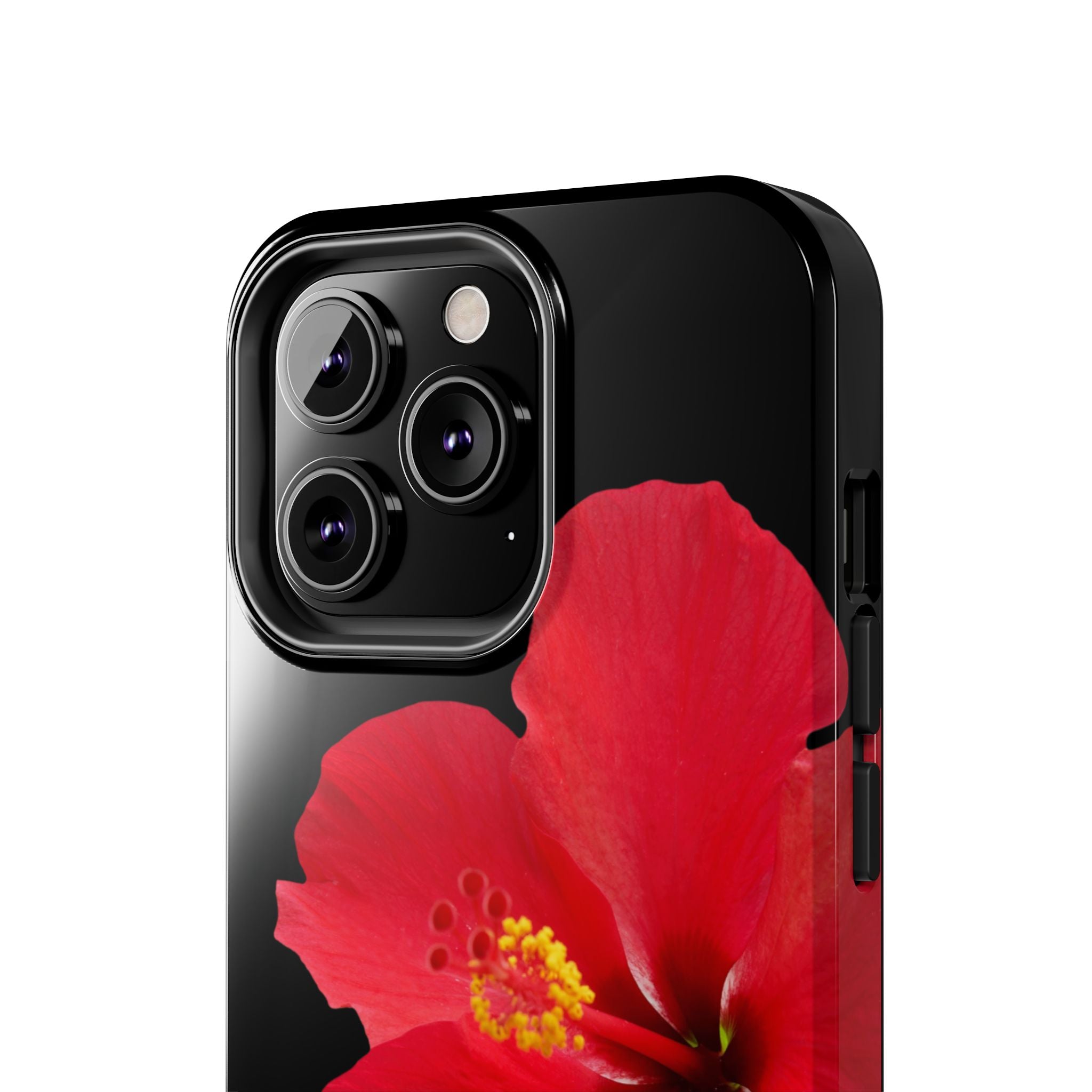 Scarlet Hibiscus