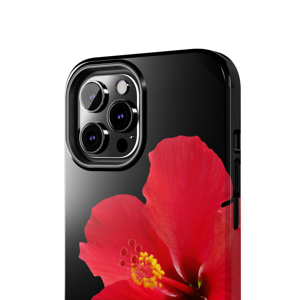 Scarlet Hibiscus