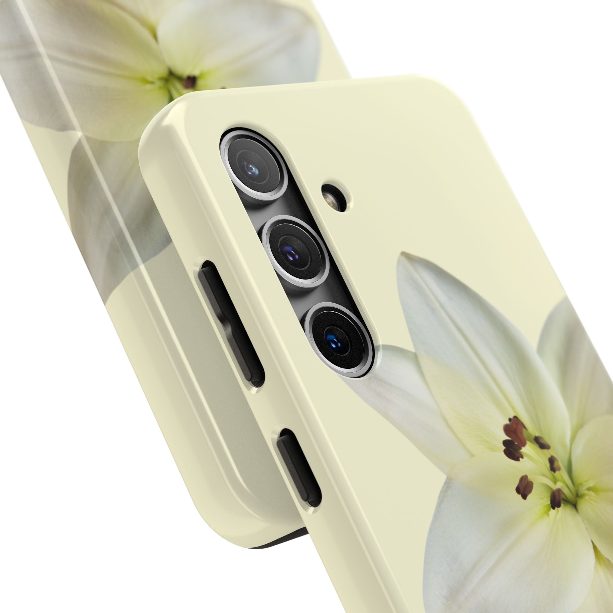Ivory Lily