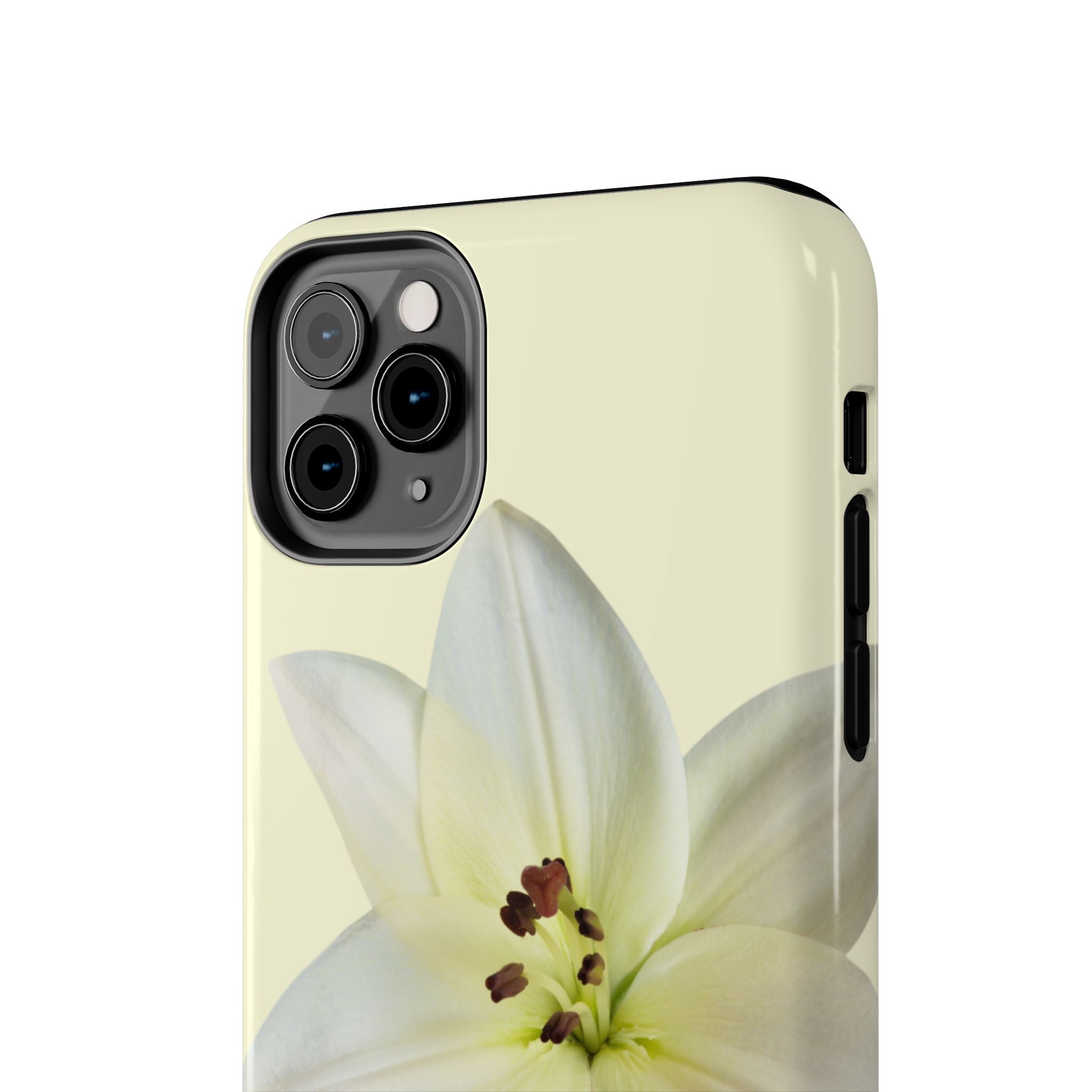 Ivory Lily