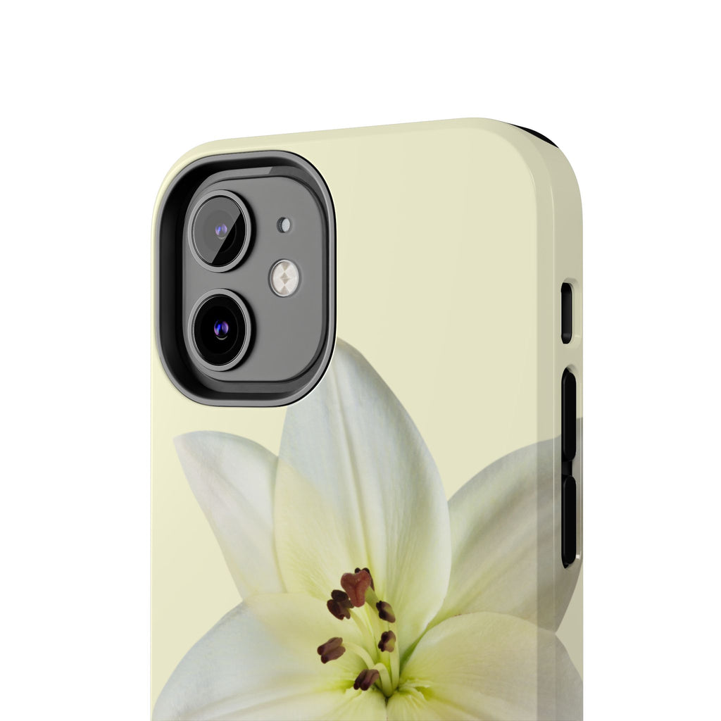 Ivory Lily
