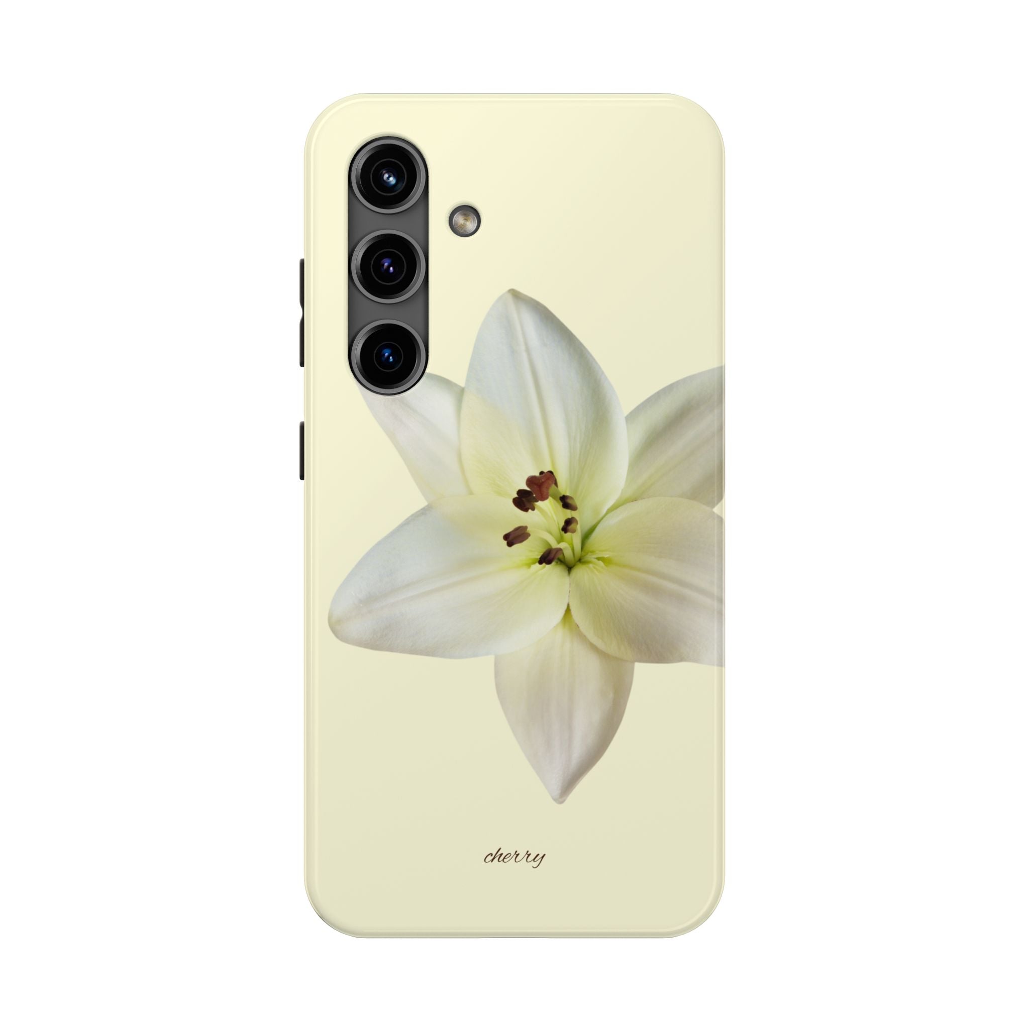 Ivory Lily