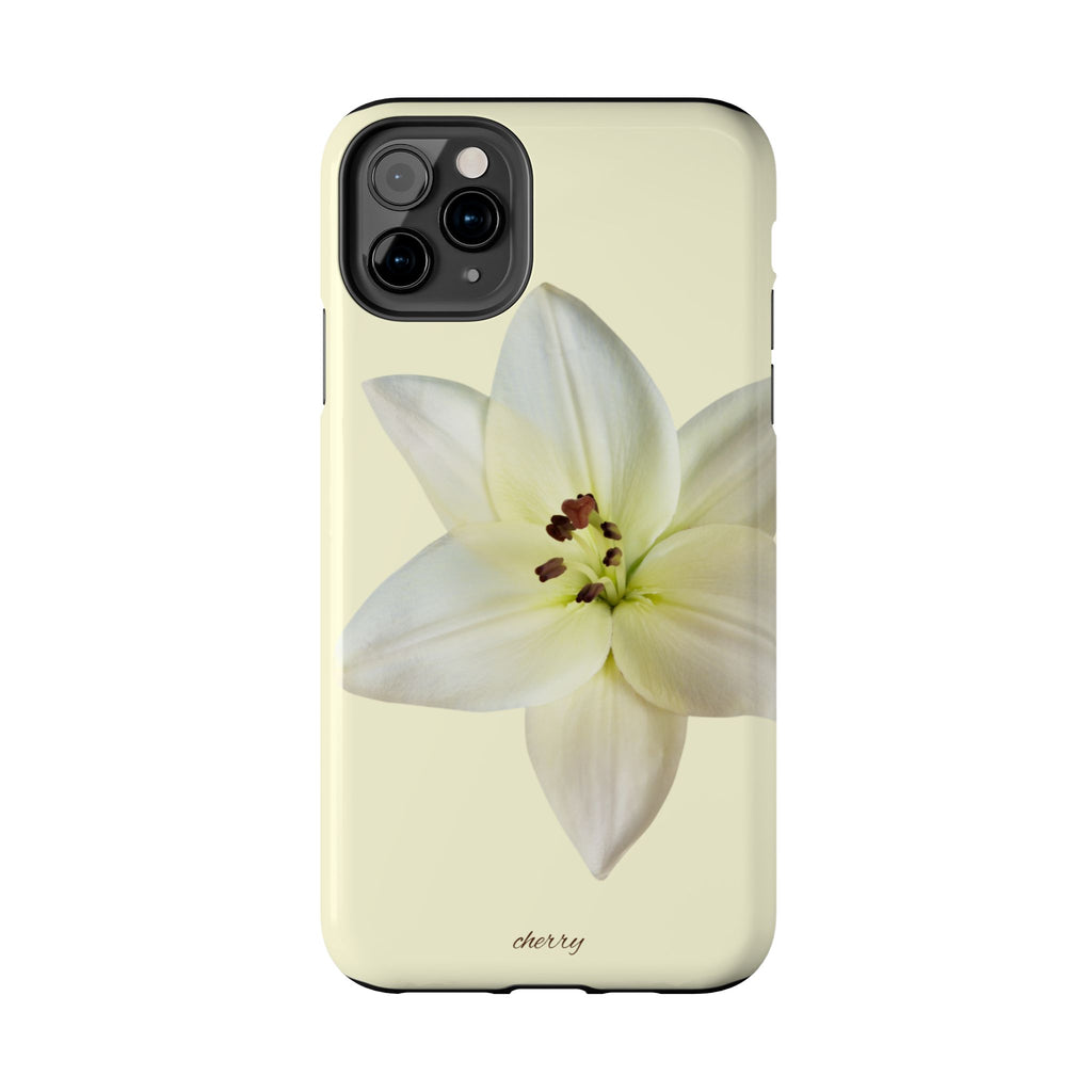 Ivory Lily