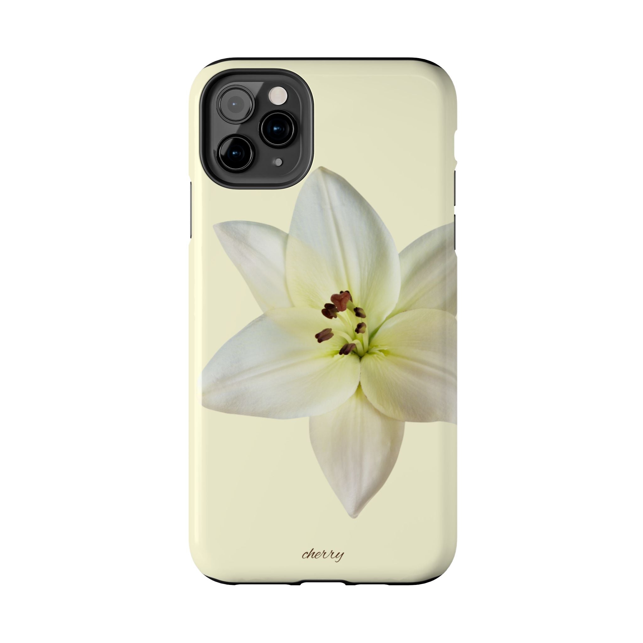 Ivory Lily