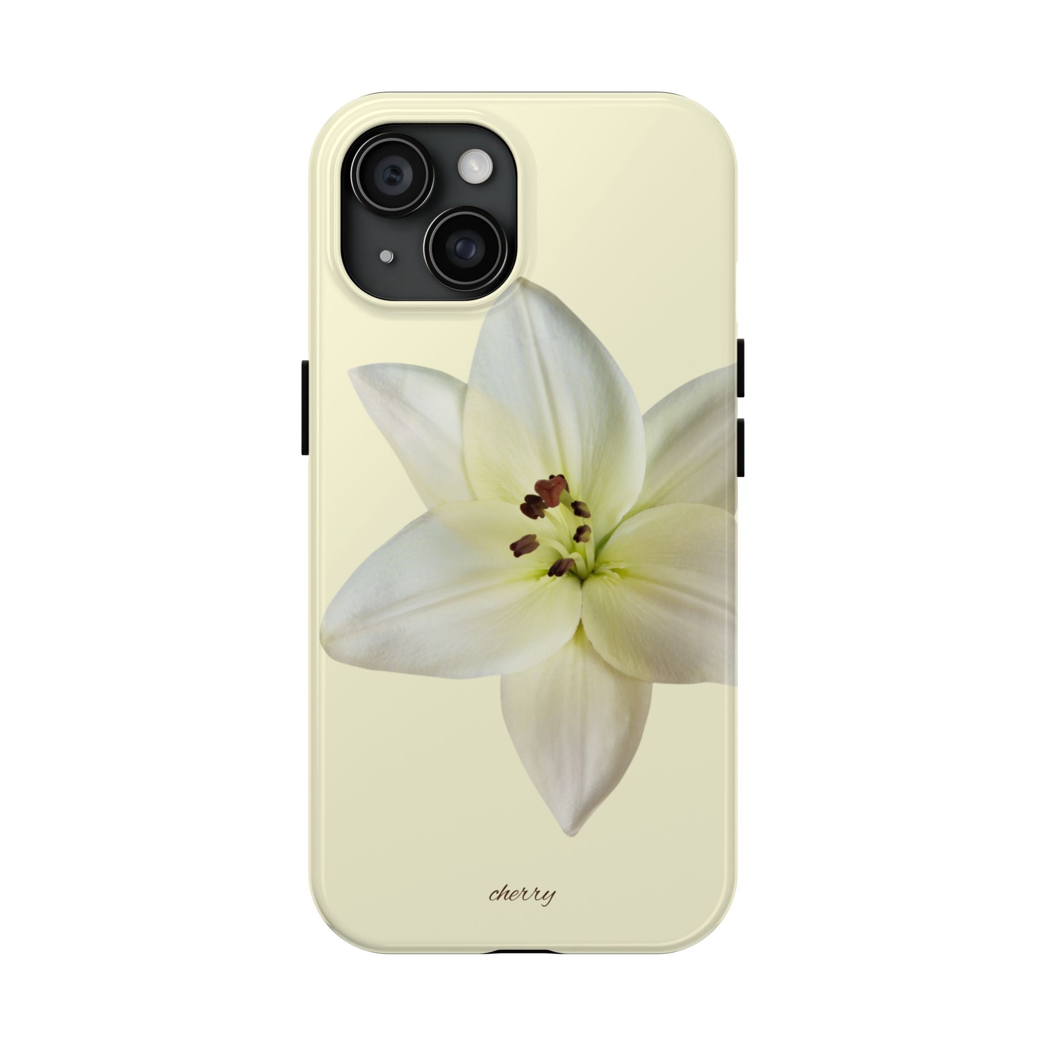 Ivory Lily