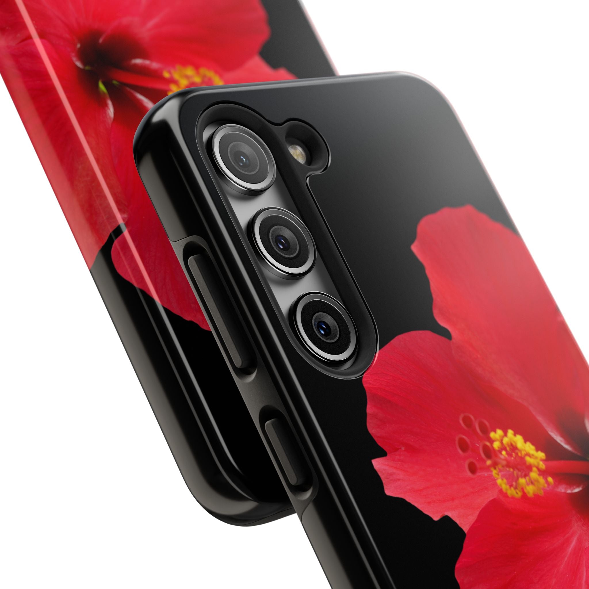 Scarlet Hibiscus