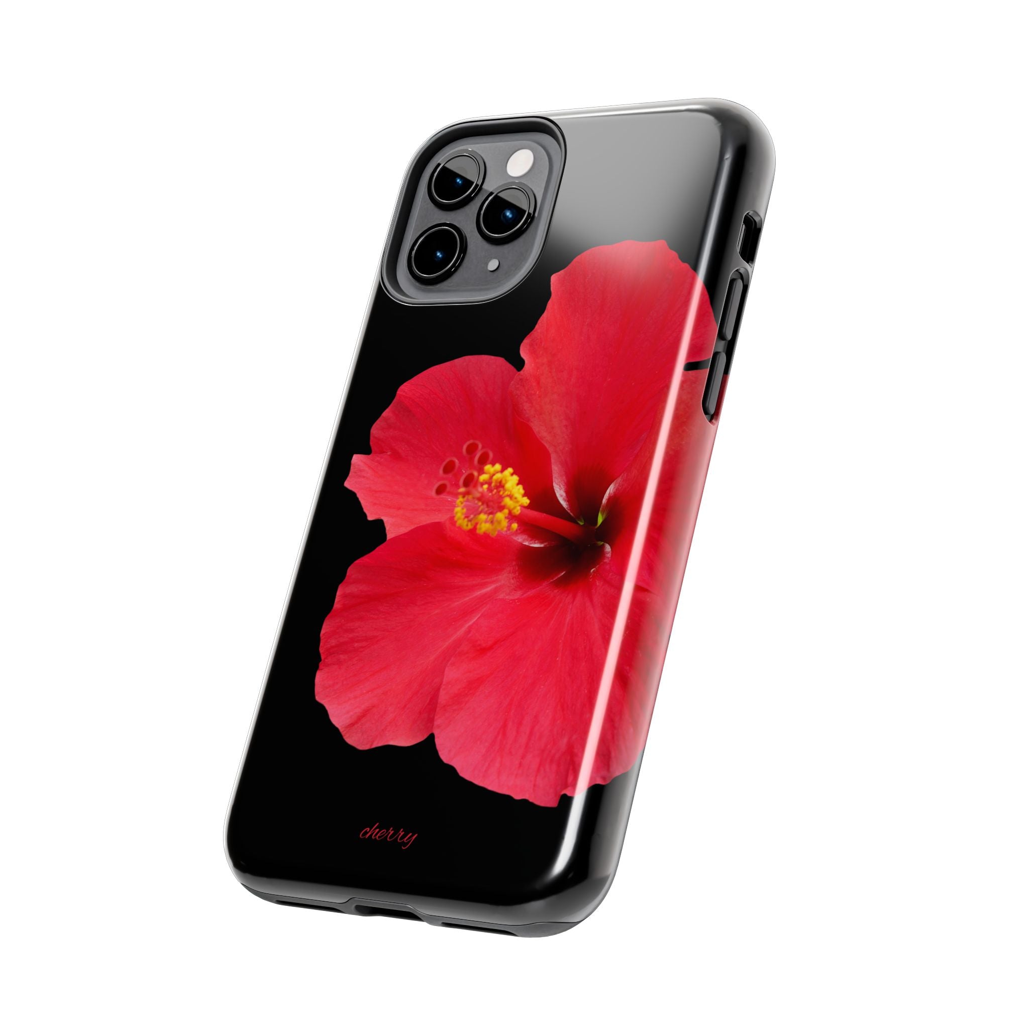 Scarlet Hibiscus