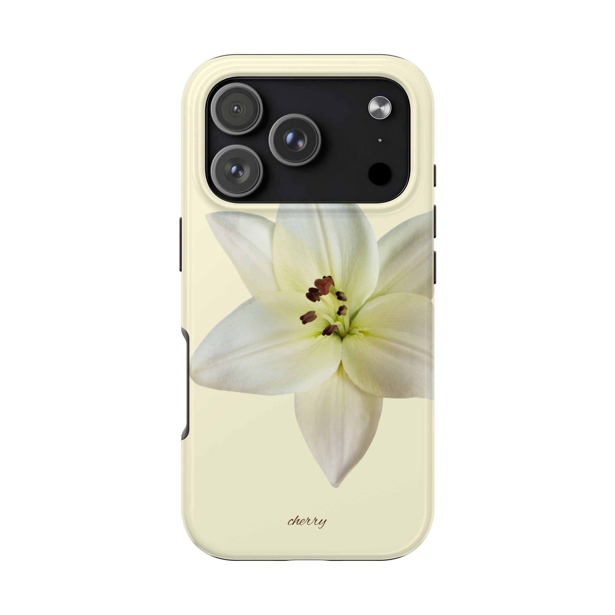 Ivory Lily