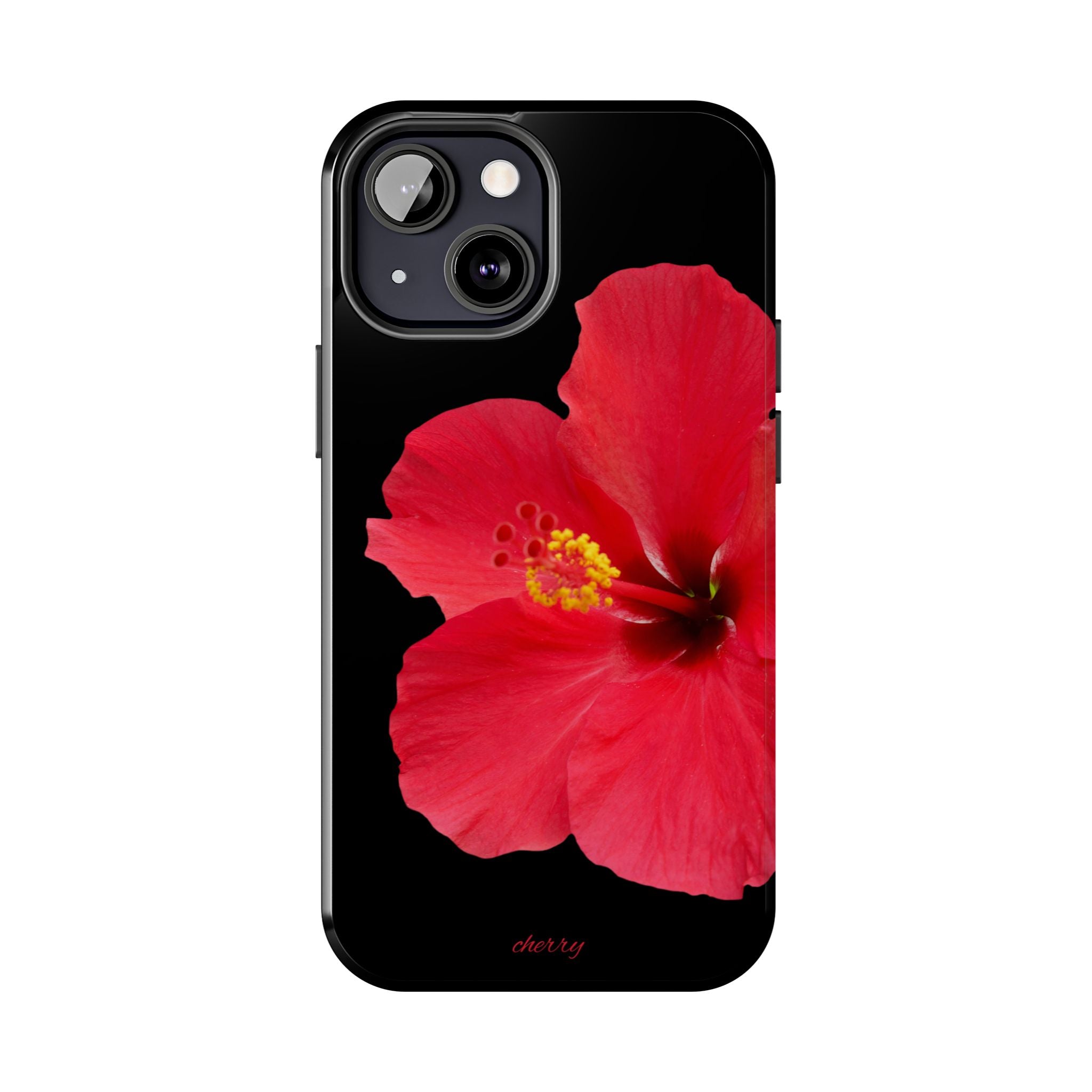 Scarlet Hibiscus