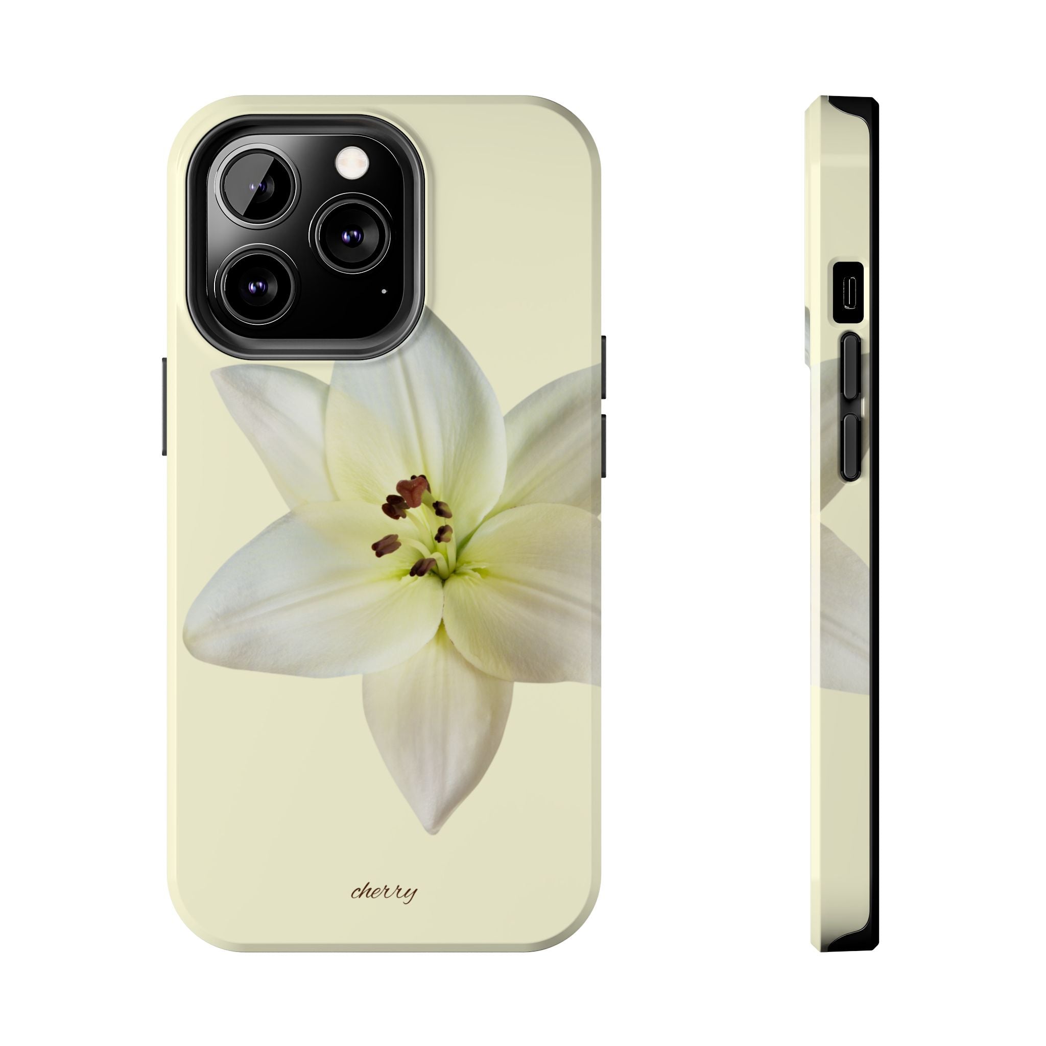 Ivory Lily