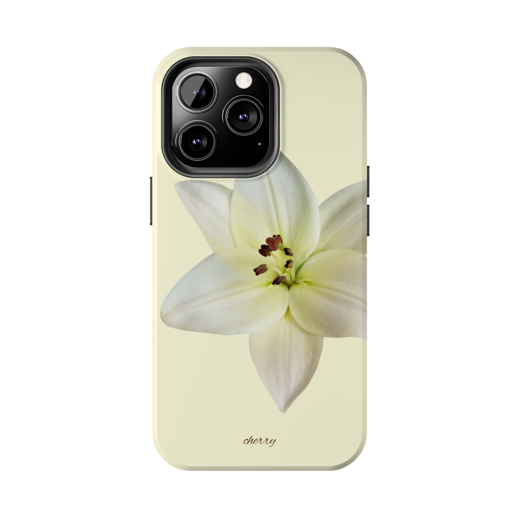 Ivory Lily