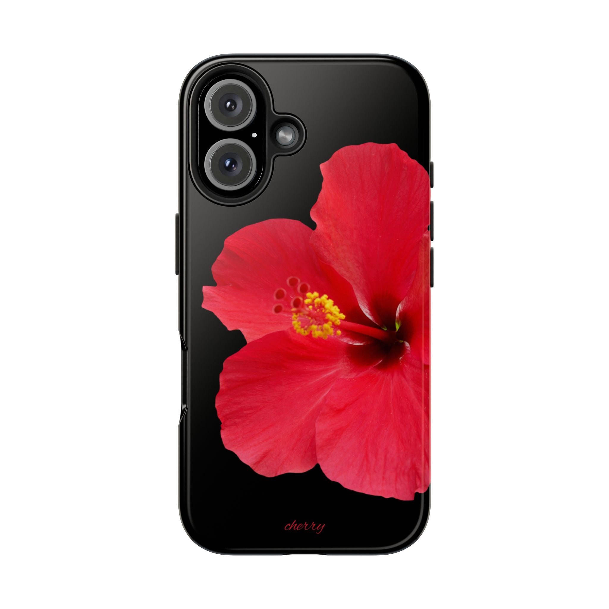 Scarlet Hibiscus