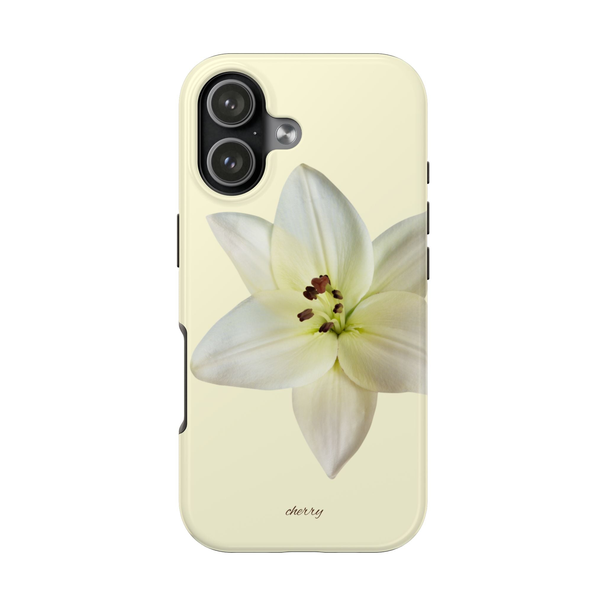 Ivory Lily