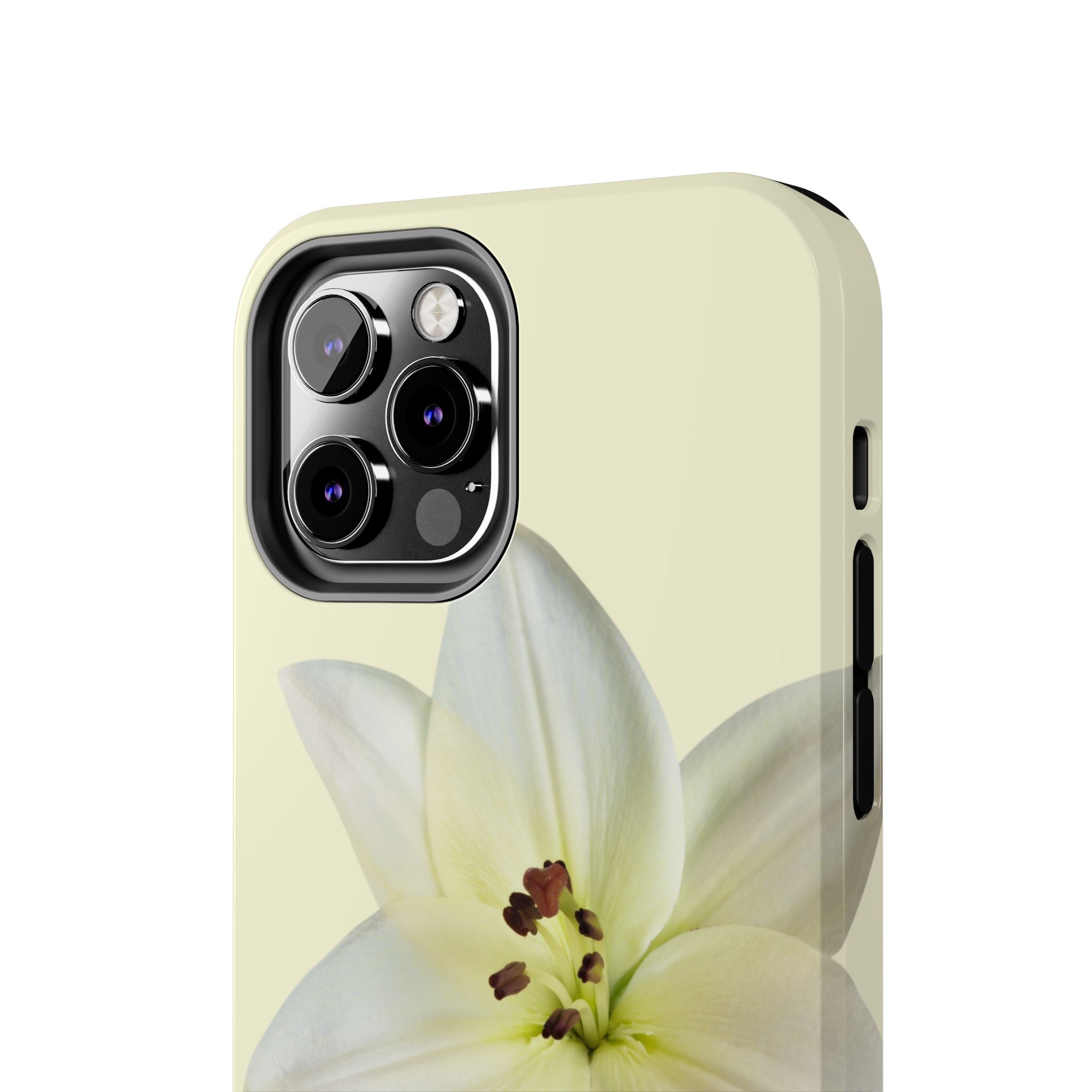 Ivory Lily