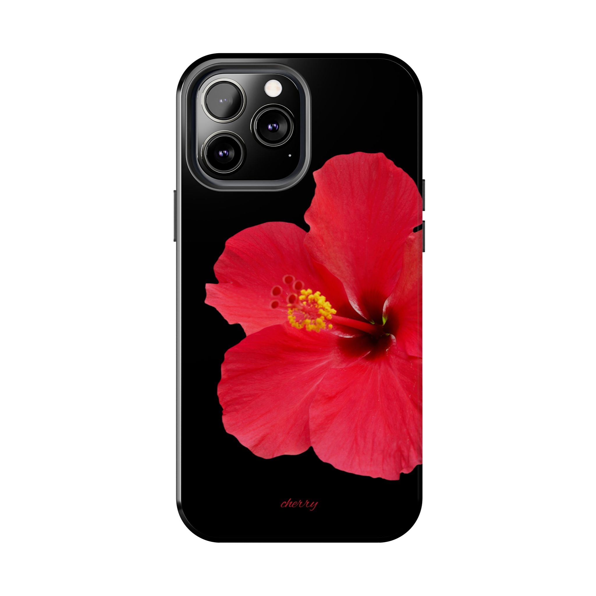 Scarlet Hibiscus