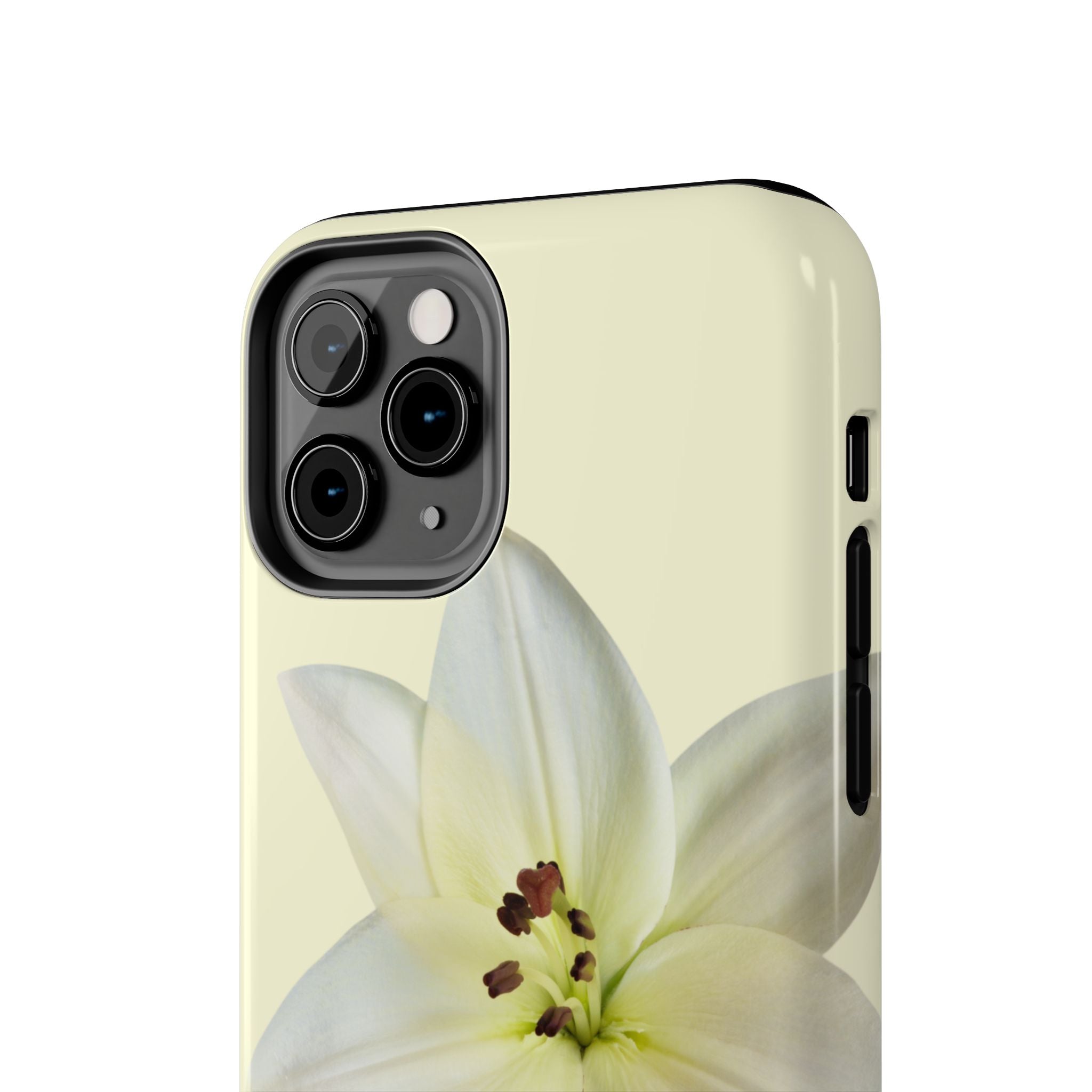 Ivory Lily