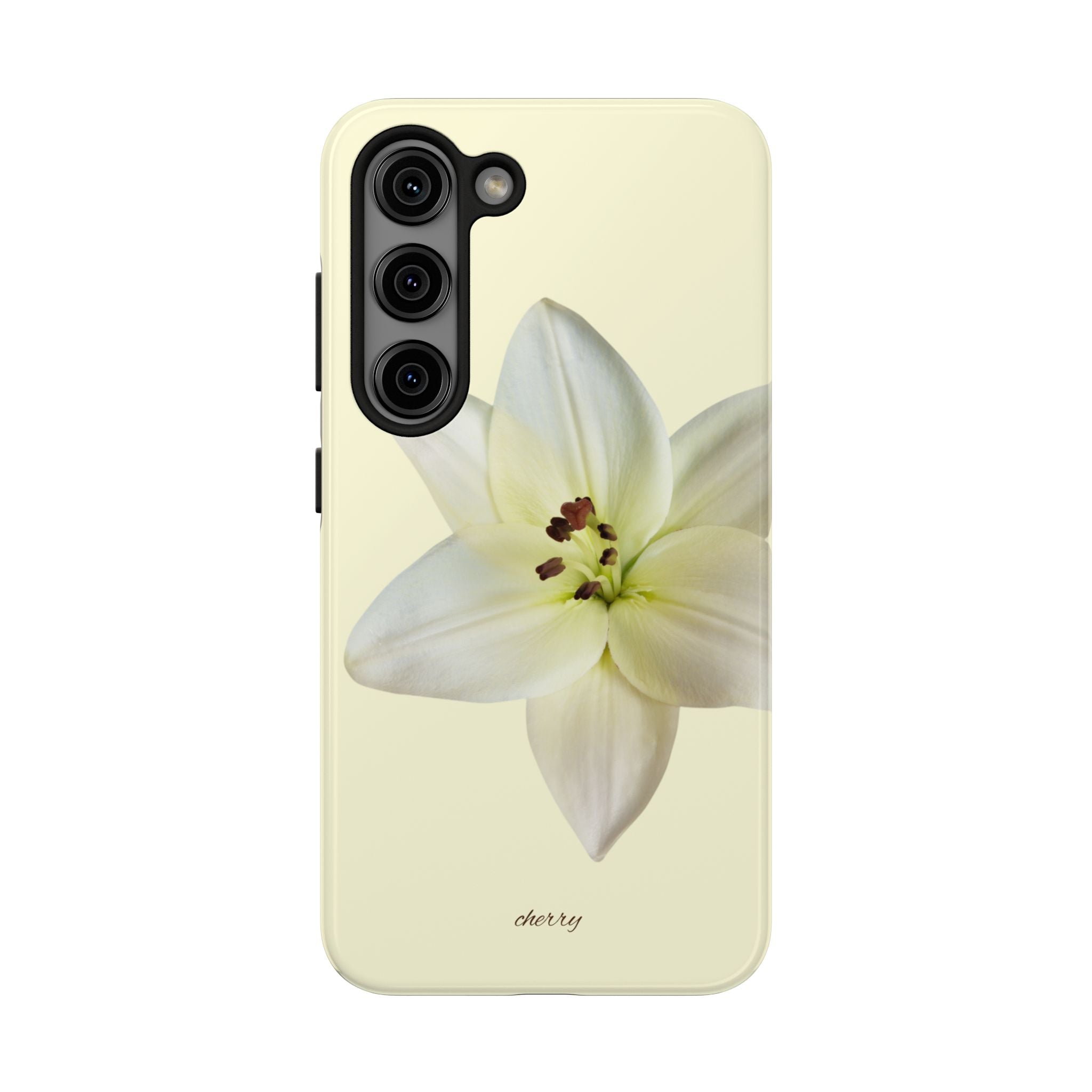 Ivory Lily