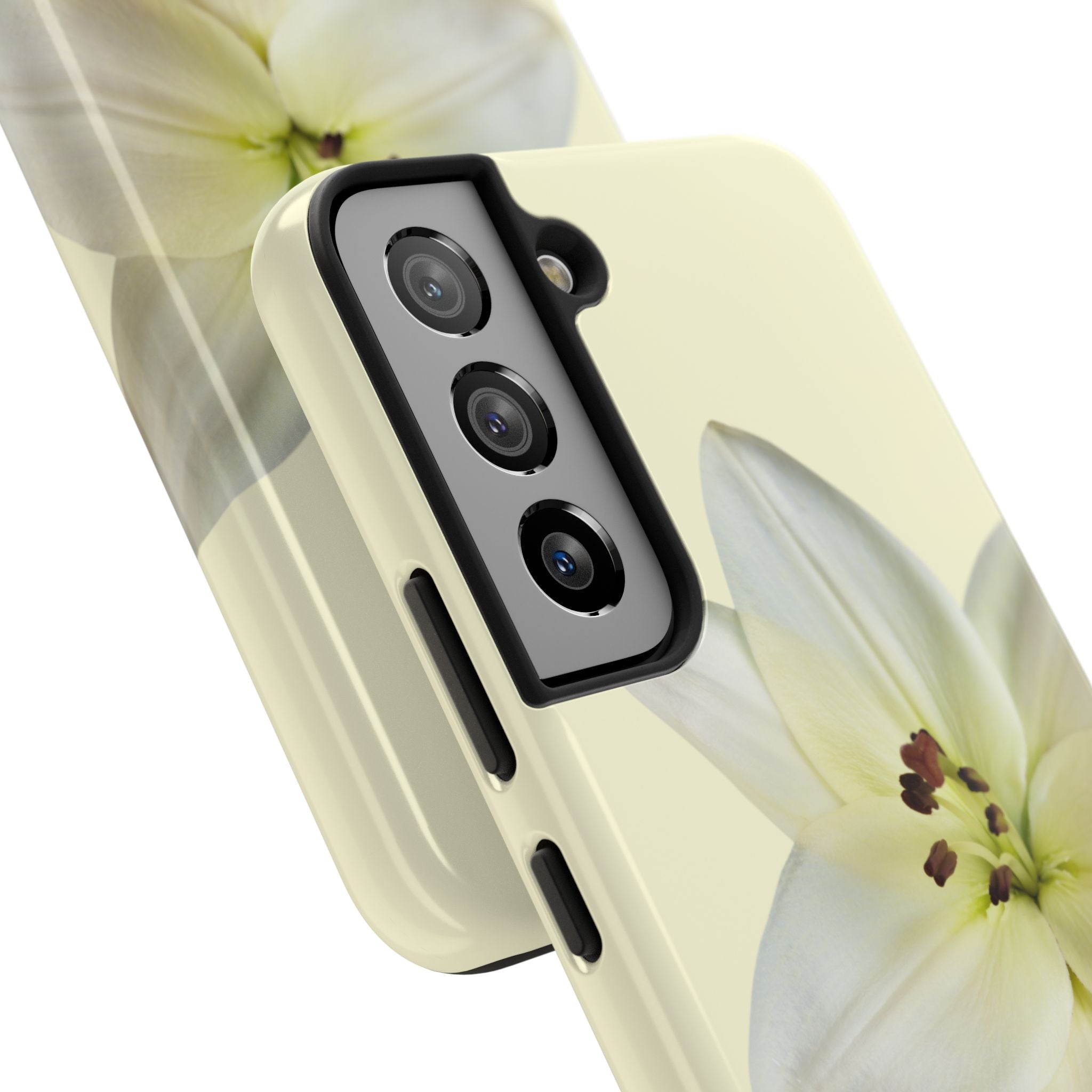 Ivory Lily
