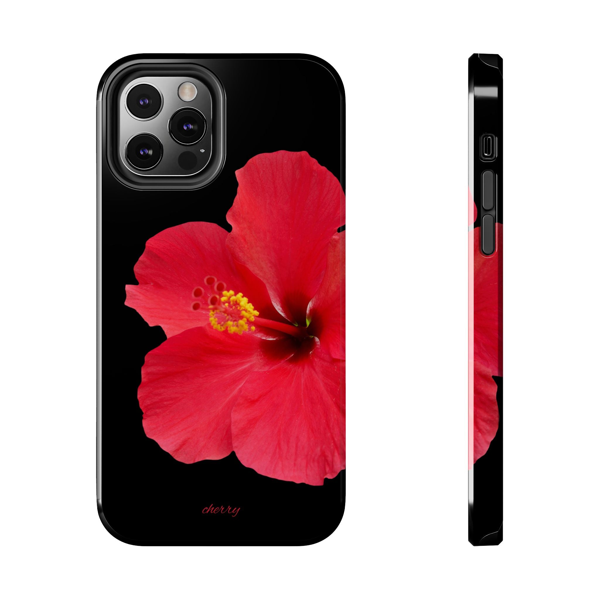 Scarlet Hibiscus