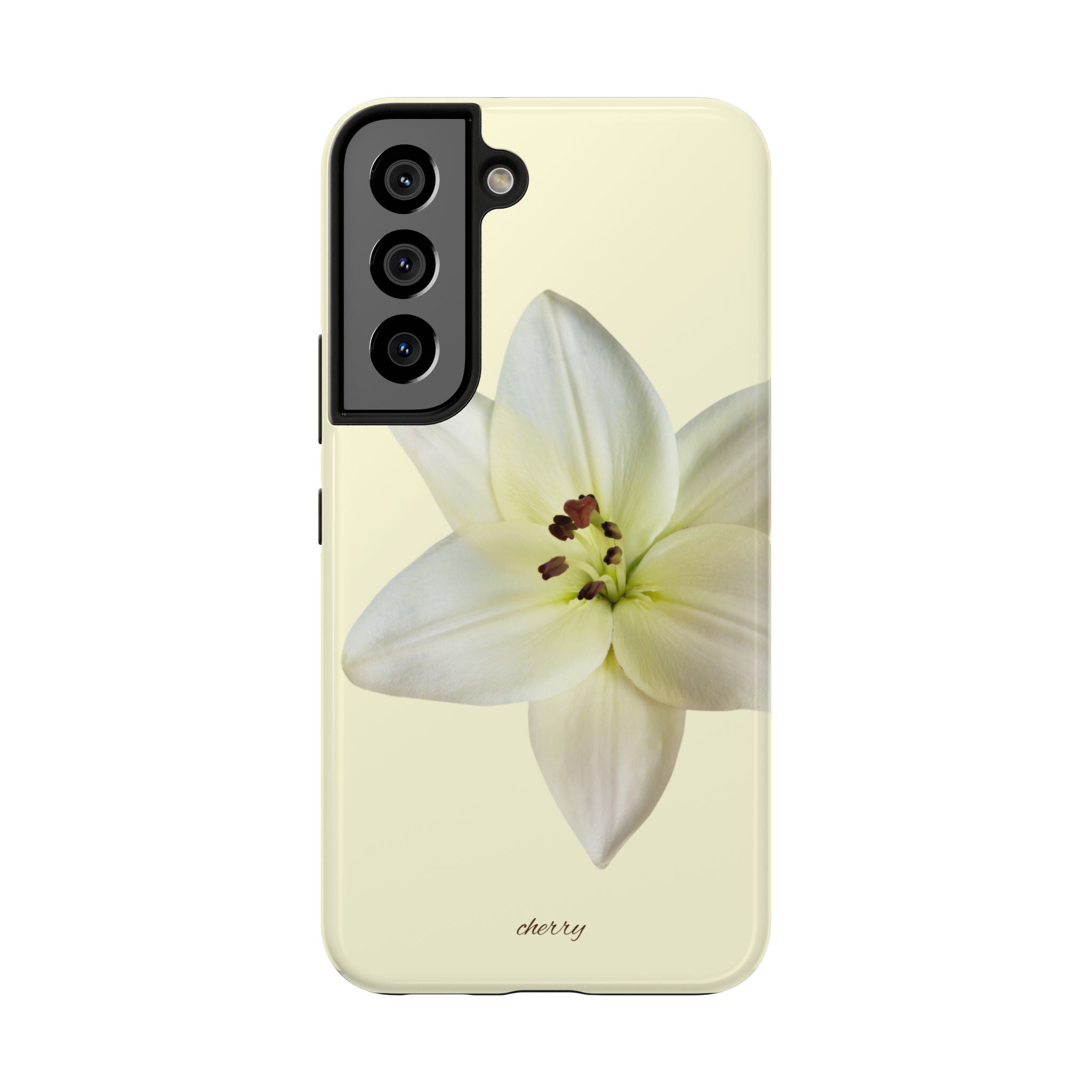 Ivory Lily