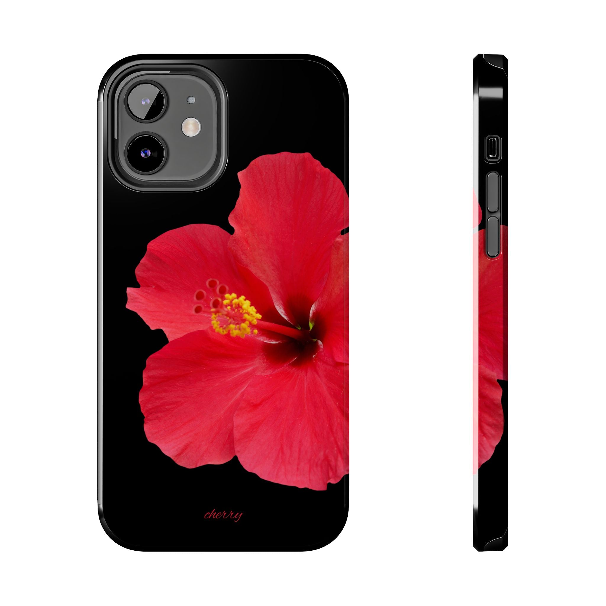 Scarlet Hibiscus
