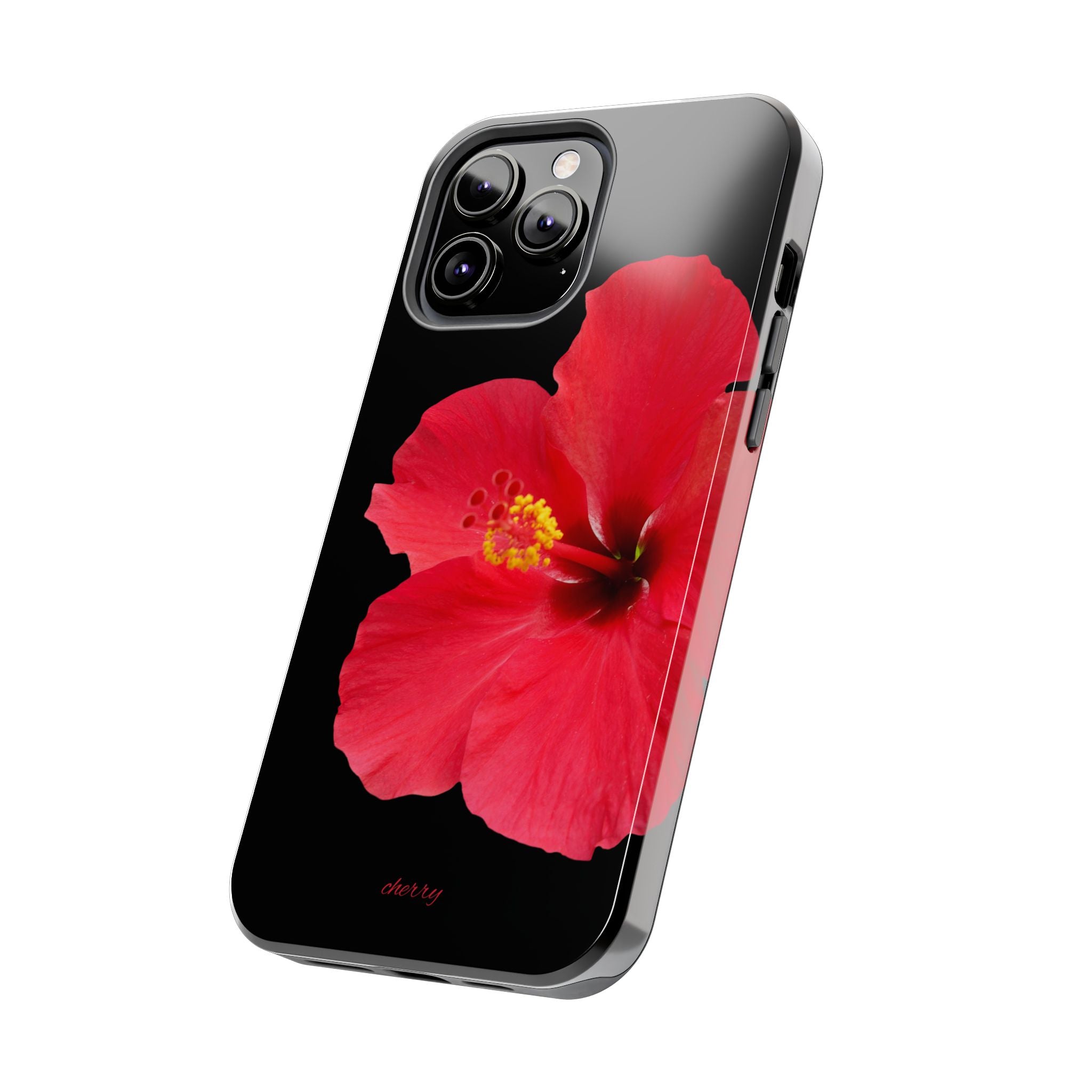 Scarlet Hibiscus