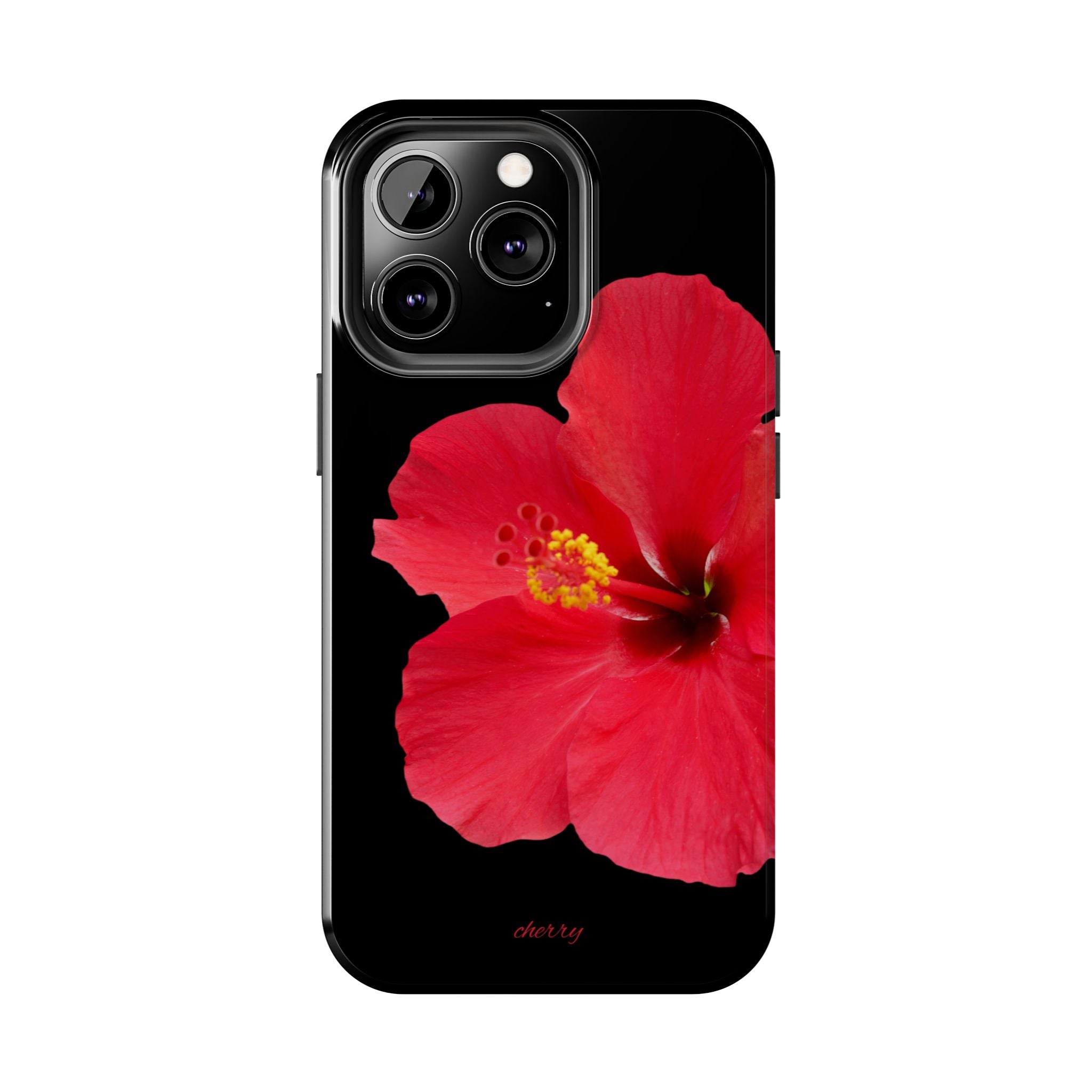 Scarlet Hibiscus